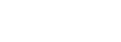 Bird Eye Loans
